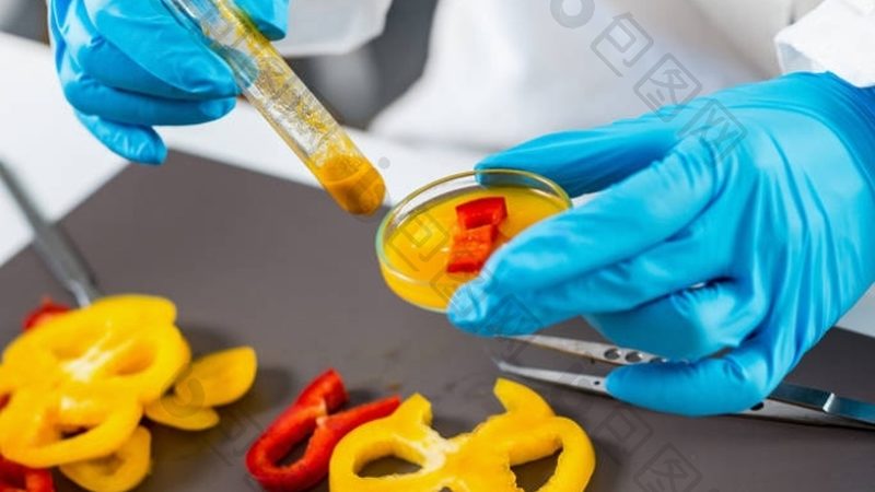 食品批发厂家直供网站：揭秘供应链的透明之路